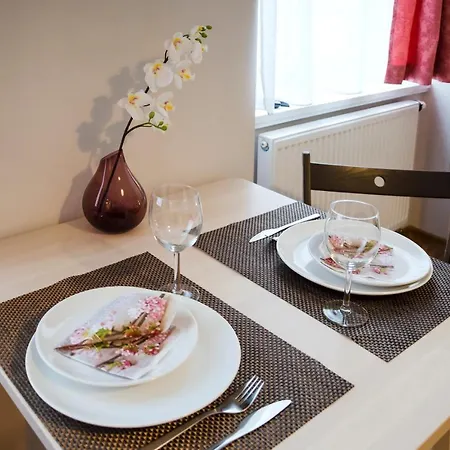 Krakovska 5 Apartament Praga